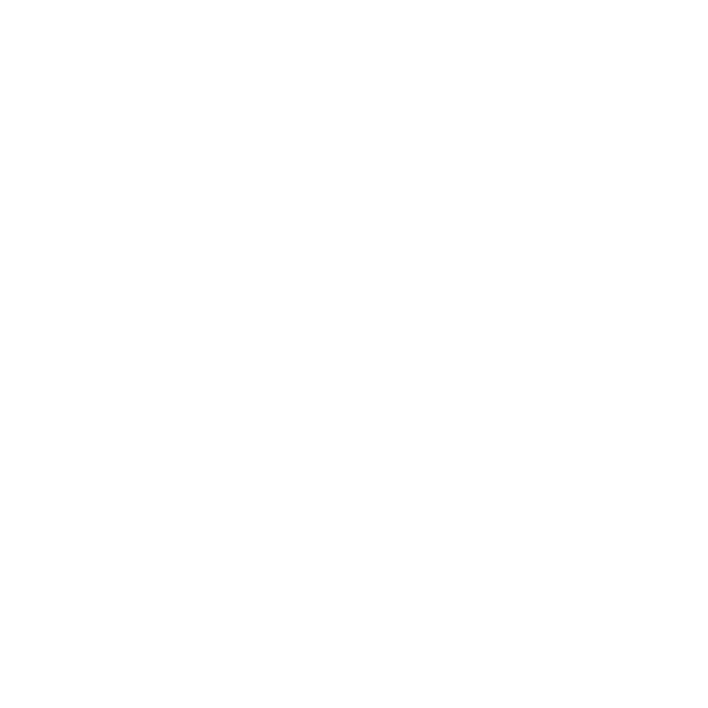 BSM Logo black and white