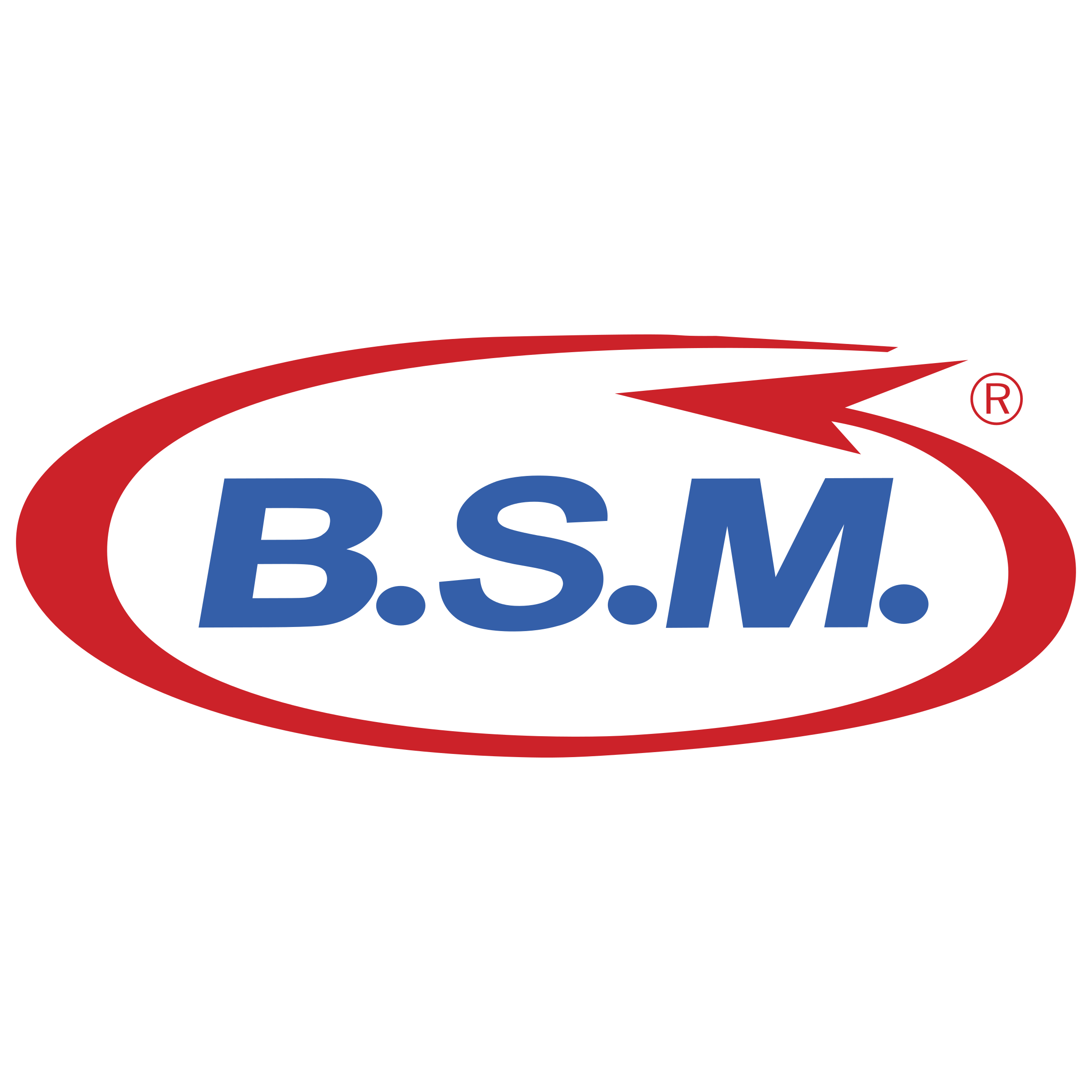 BSM Logo png transparent