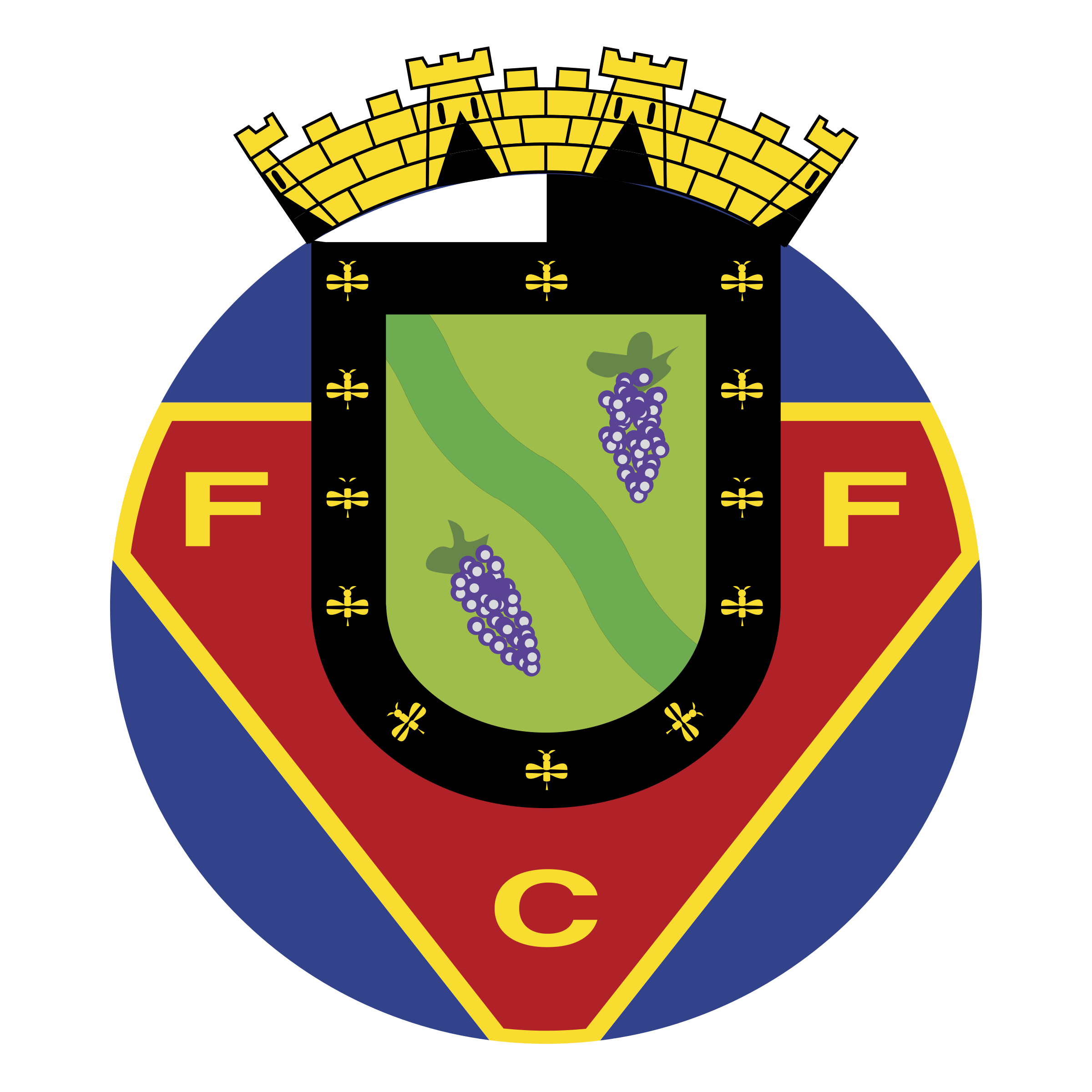 FC Felgueiras Logo png transparent