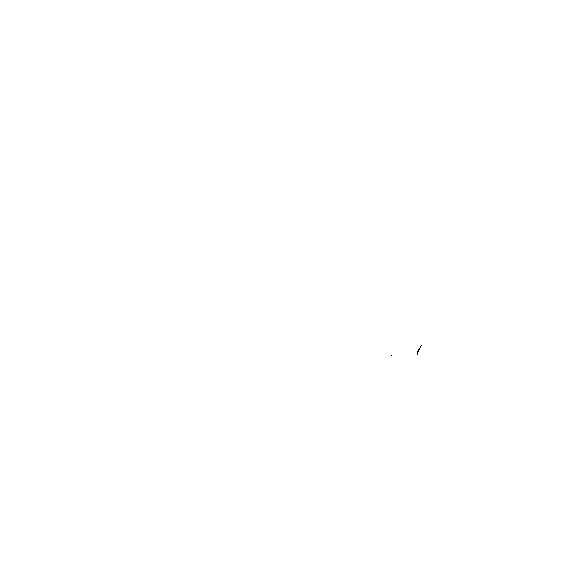 Portland Beavers Logo black and white