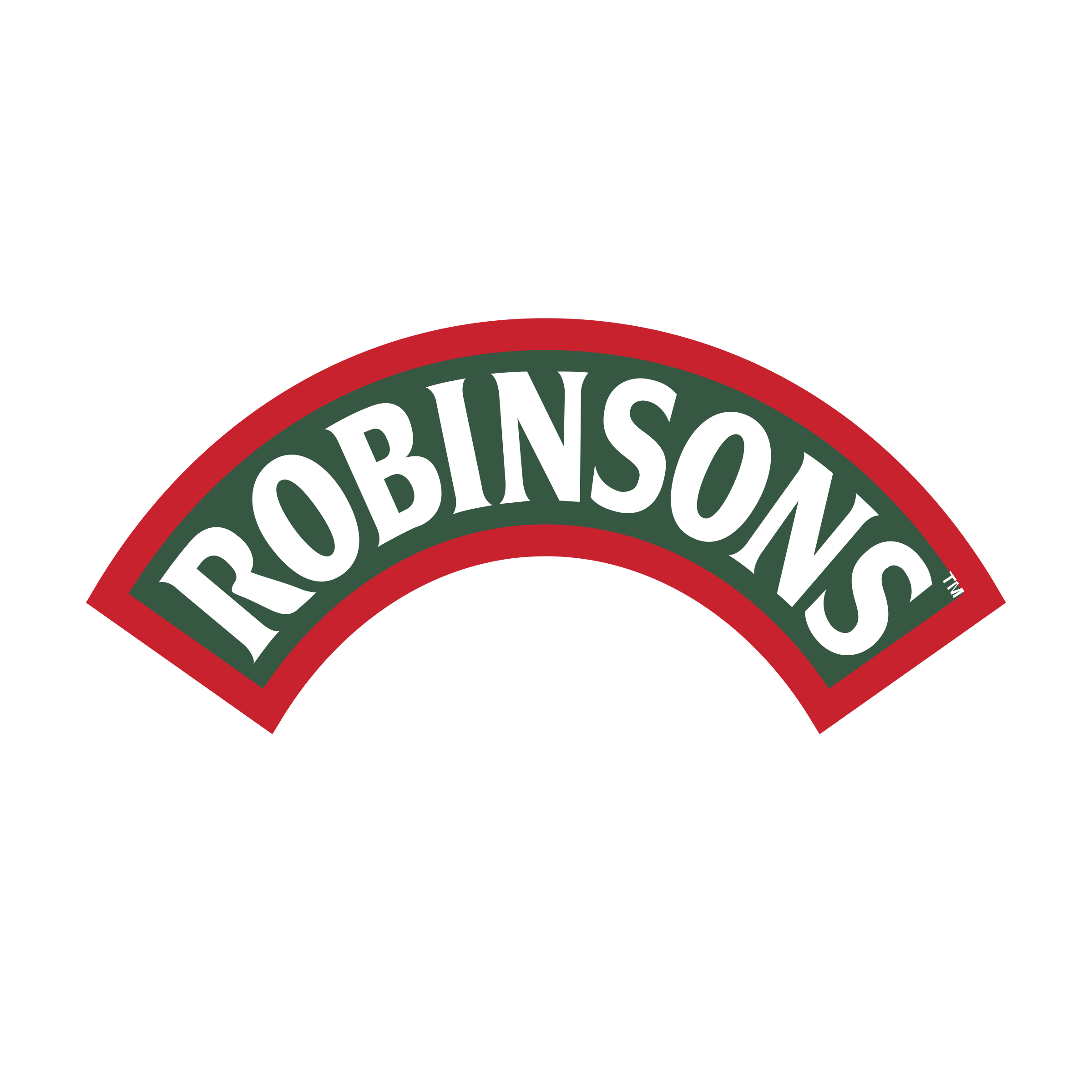 Robinsons Logo png transparent