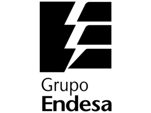 Endesa Grupo Logo