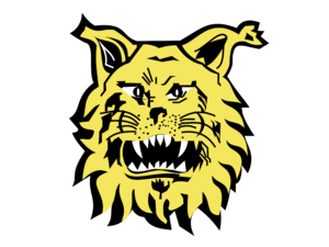 Footbal Club Ilves de Tampere Logo