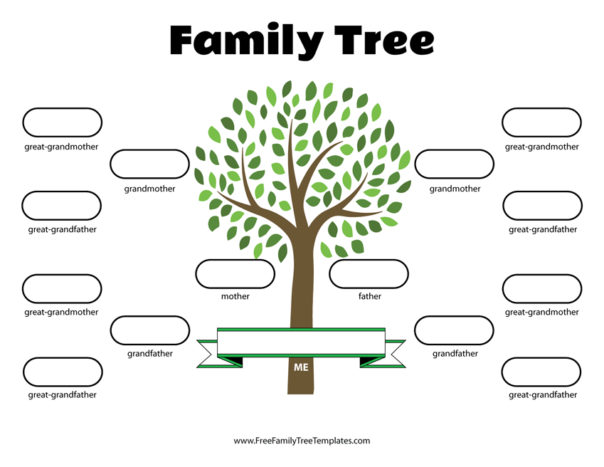 4 Generation Family Tree Template – Free Family Tree Templates