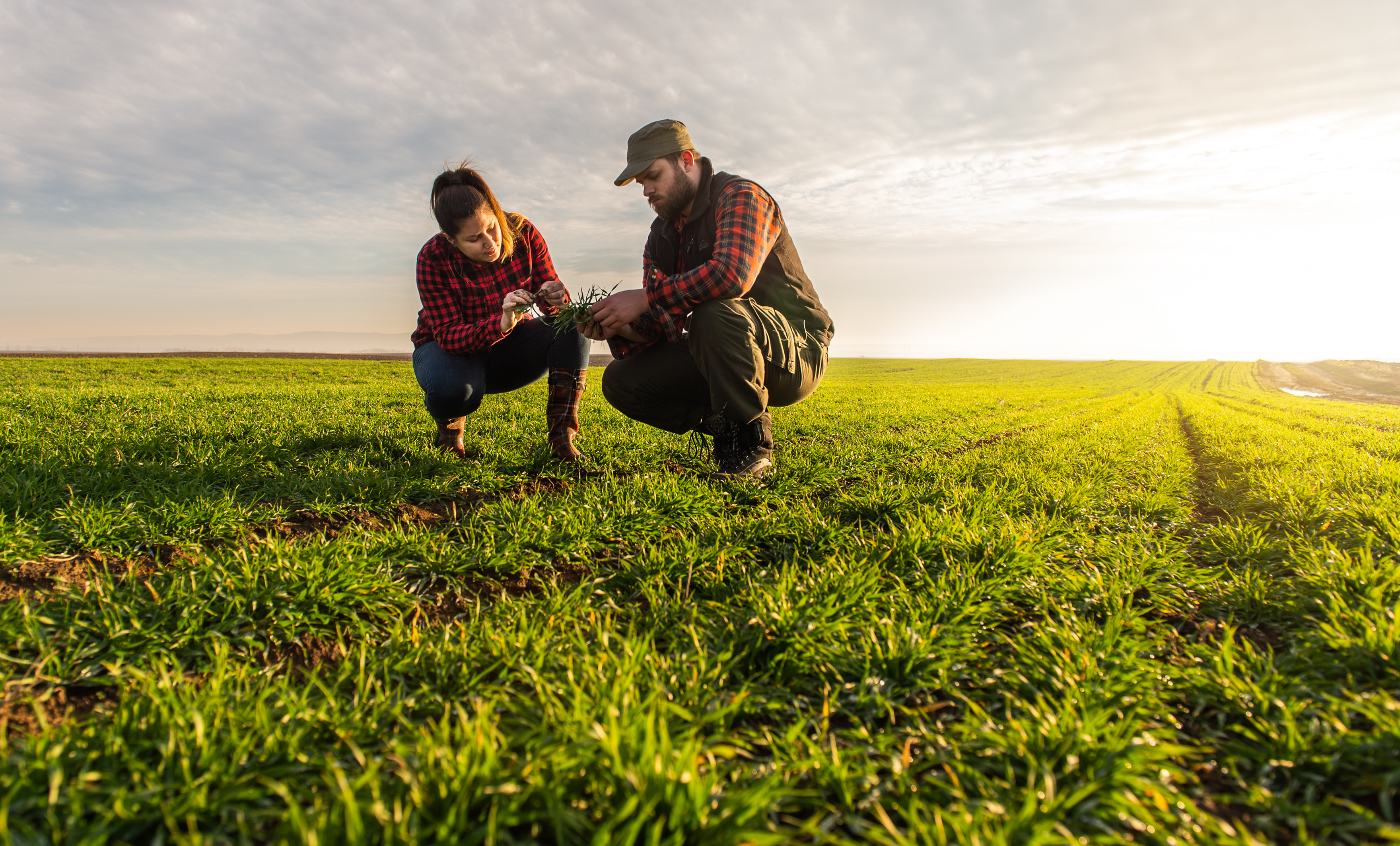 Les métiers de l'agriculture sont à découvrir entre le 2 et le 6 novembre. © Dusan Kostic, Adobe Stock