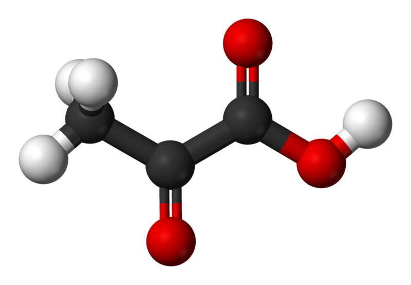 Le pyruvate est la forme ionisée de l'acide pyruvique. © Benjah-bmm27, Wikimedia, domaine public