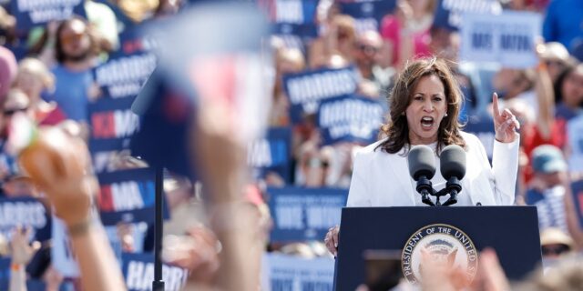 kamala harris, vicepresedinte vicepresedinta sua, statele unite, alegeri prezidentiale sua 2024, democrata, americane