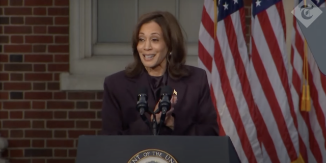 Kamala Harris, primul discurs după ce a fost învinsă în cursa pentru președinția SUA: Am pierdut alegerile, dar n-am pierdut lupta pentru libertate pentru corectitudine și drepturile oamenilor. E o luptă la care nu voi renunța