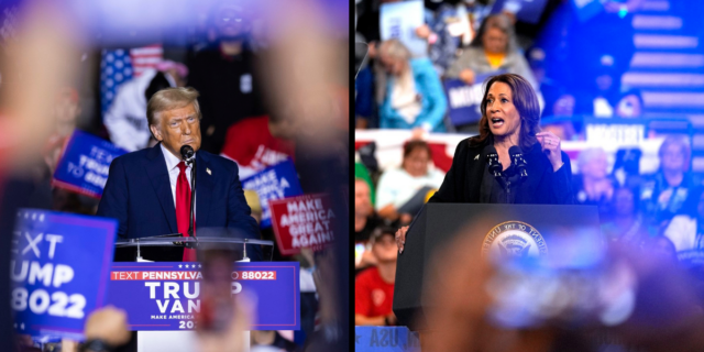 kamala harris, vicepresedinte vicepresedinta sua, statele unite, alegeri prezidentiale sua 2024, democrata, americane, donald trump, republican, casa alba, cursa prezidentiala, washington dc