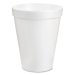 Store Brand Styrofoam Cups 16oz 20CT