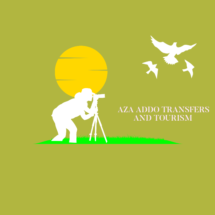 Aza Addo Transfers and Tourism | GetYourGuide 공급업체