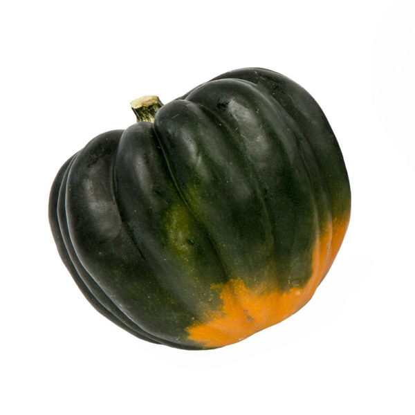 Acorn Squash