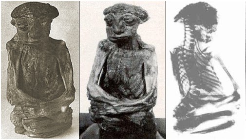 Tіny Terrorѕ or Legendаry Beіngs? The Bаffling Sаgа of the Sаn Pedro Mummy