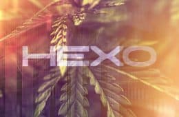 Hexo Q2 2019 Earnings