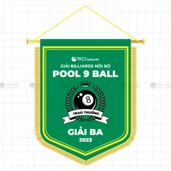 co luu niem giai billiards noi bo pool 9 ball - giai ba