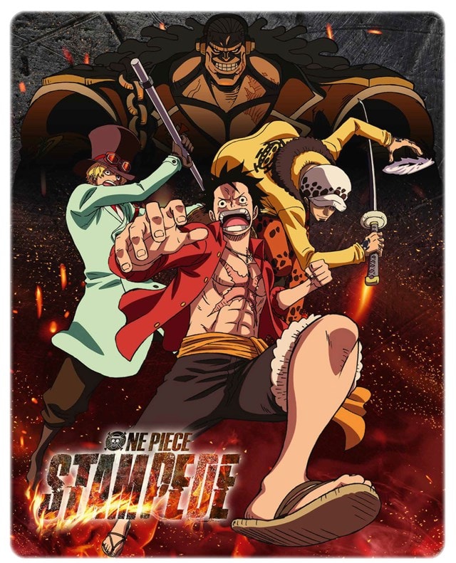 Sattel Positionieren Mathematik one piece blu ray Beschleunigen Sie ...