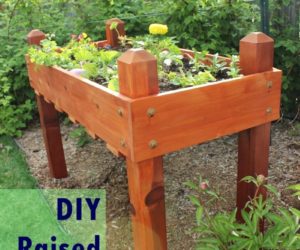 DIY Raised Planter Box – A Step-by-Step Building Guide