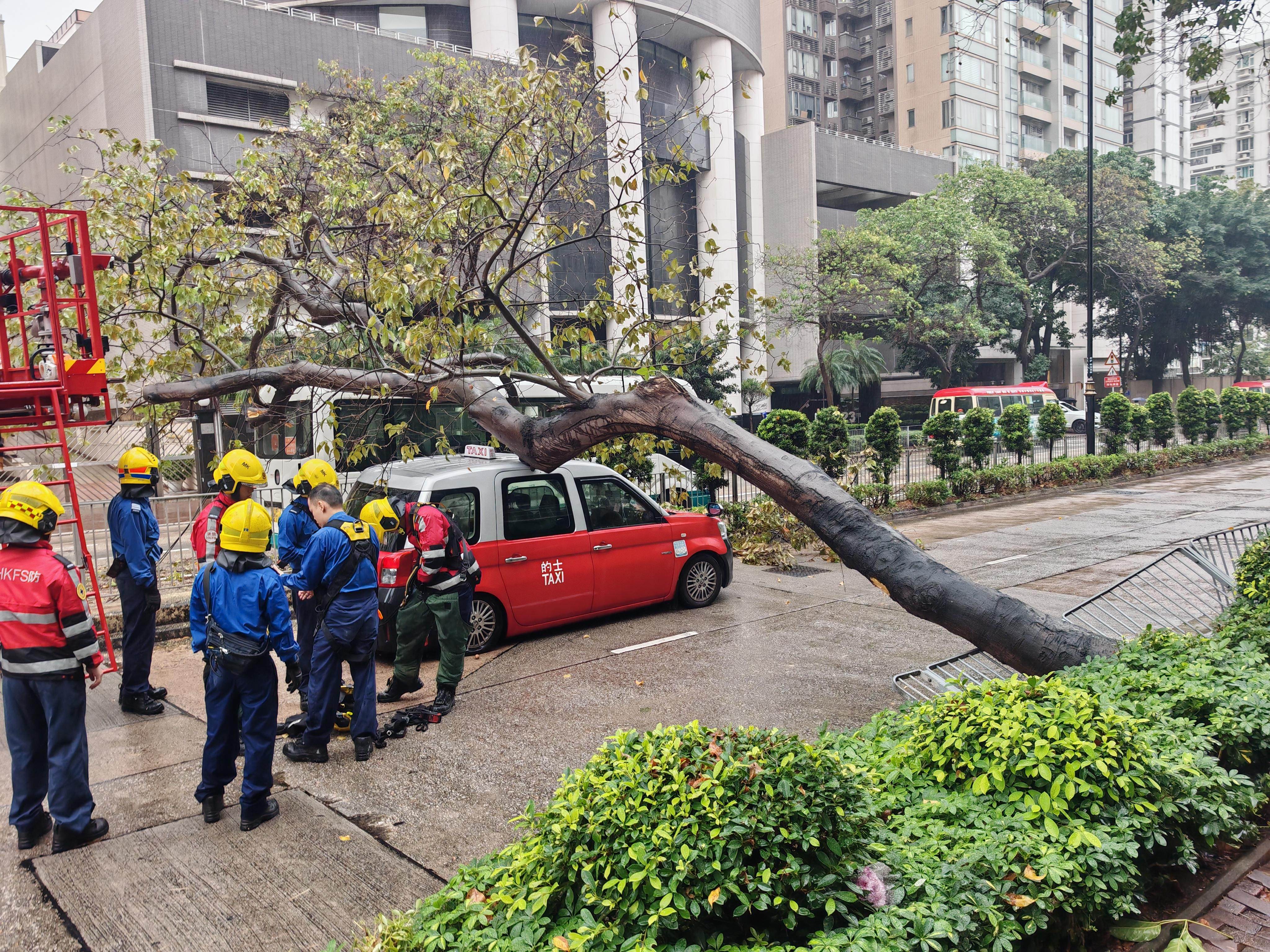 Police said the 20-by-five-metre affected area blocked four of the six lanes, which were reopened at around 11.20am. Photo: Handout