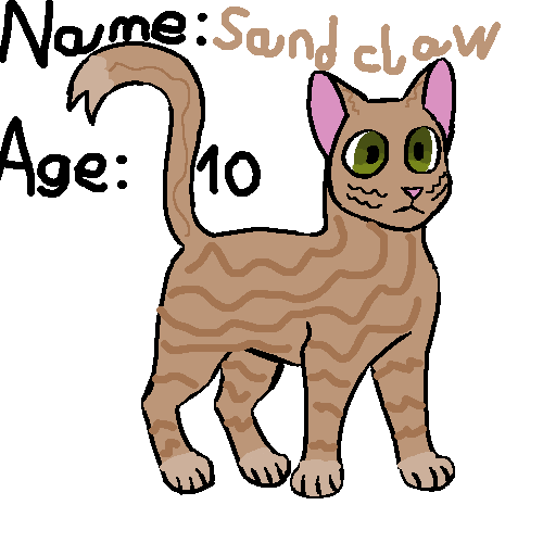 Sand claw warrior cat - ibisPaint