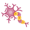 Icona Neurone, cervello, scienza