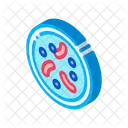 Disease Illness Bacteria Icon