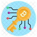 Digital Key Bitcoin Key Cyber Key Icon