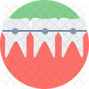 Braces Tooth Dental Icon