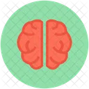 Brain  Icon