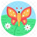 Butterfly  Icon