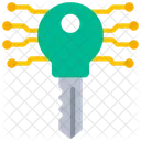 Crypto Key Crypto Key Icon