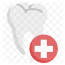 Dental Treatment Orthodontic Dental Record Icon