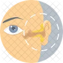 Ear Treatment Medicine Icon