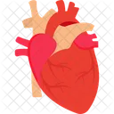 Heart treatment  Icon