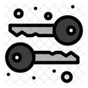 Cryptography Keys Symmetric Icon