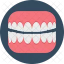 Molar Molar Teeth Tooth Icon