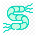 Spirilla Bacteria Color Icon