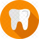 Tooth Dentist Dental Icon