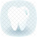 Tooth Icon