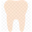 Tooth Health Care Icon