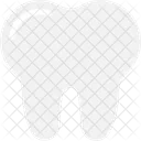 Molar Tooth Human Icon