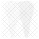 Tooth Dental Dentist Icon