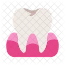 Tooth Icon