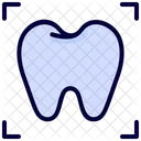 Domography Tooth Xray Icon