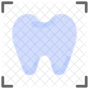 Domography Tooth Xray Icon