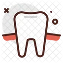 Tooth Teeth Dental Icon