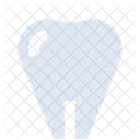 Tooth  Icon