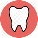 Tooth Human Body Icon