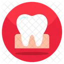 Tooth  Icon