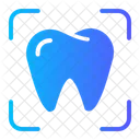 Tooth  Icon