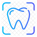 Tooth  Icon